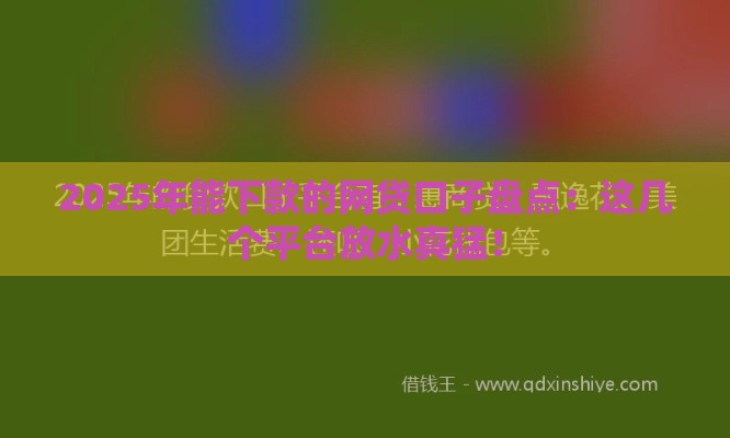 2025年能下款的网贷口子盘点：这几个平台放水真猛！