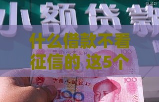 什么借款不看征信的 这5个口子秒下款亲测有效