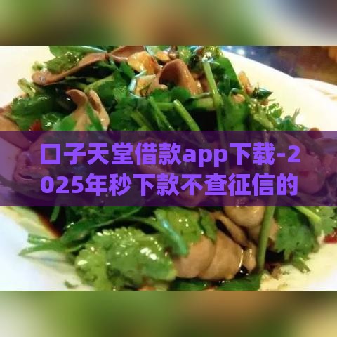 口子天堂借款app下载-2025年秒下款不查征信的口子神器