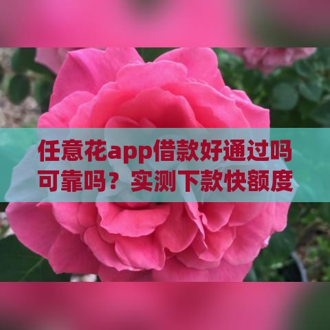 任意花app借款好通过吗可靠吗？实测下款快额度高的网贷神器