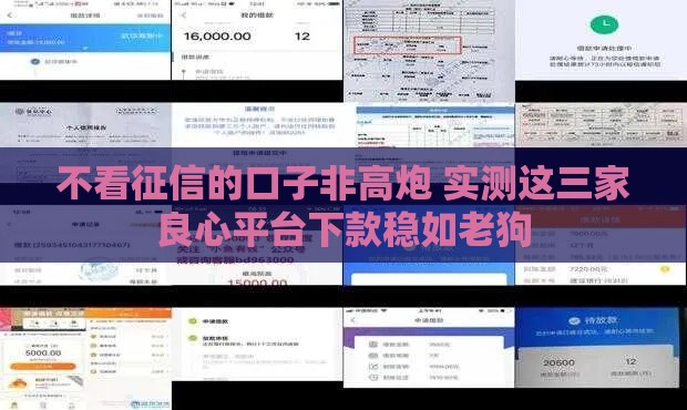 不看征信的口子非高炮 实测这三家良心平台下款稳如老狗