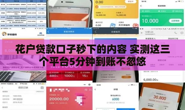 花户贷款口子秒下的内容 实测这三个平台5分钟到账不忽悠