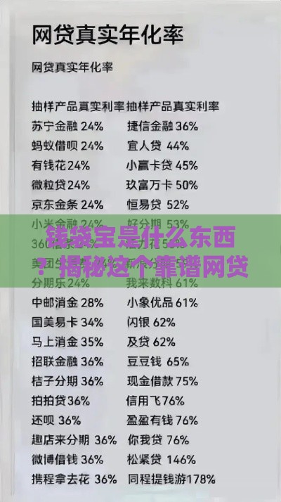 钱袋宝是什么东西？揭秘这个靠谱网贷平台的真实体验