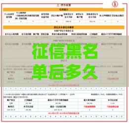 征信黑名单后多久恢复？2025年最新实测经验分享
