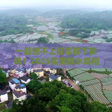 一品贷不上征信能下款吗？2025实测放水真相大揭秘