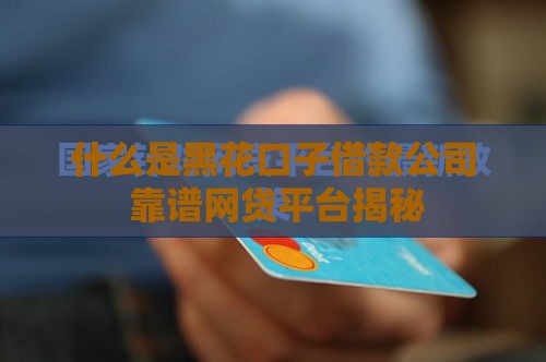 什么是黑花口子借款公司 靠谱网贷平台揭秘