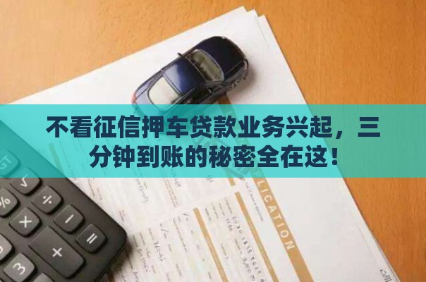 不看征信押车贷款业务兴起，三分钟到账的秘密全在这！