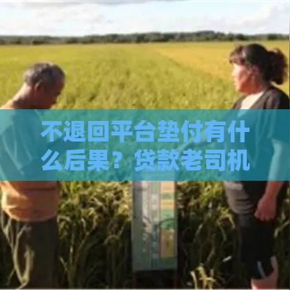 不退回平台垫付有什么后果？贷款老司机血泪经验警告