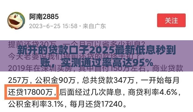 新开的贷款口子2025最新低息秒到账，实测通过率高达95%
