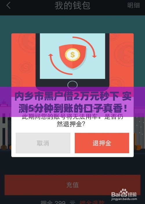 内乡市黑户借2万元秒下 实测5分钟到账的口子真香！