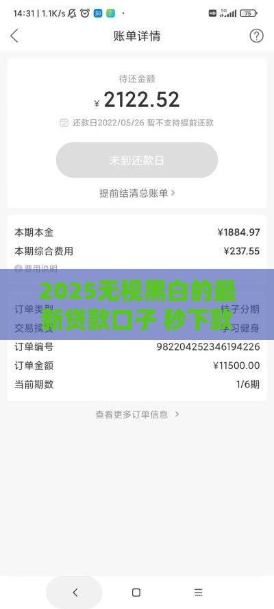 2025无视黑白的最新贷款口子 秒下款不查征信的良心平台推荐