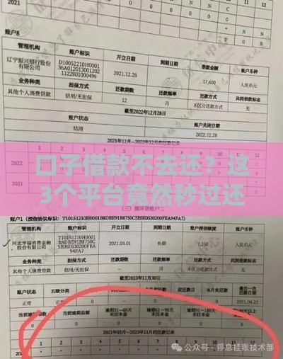 口子借款不去还？这3个平台竟然秒过还不上征信！
